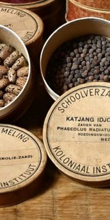 Nijkerker Eijkman doet onderzoek in Indië en wint de Nobelprijs